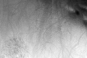 USGS Dune Database Entry Number 1563-579