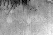 Dune Monitoring in Lyot Crater
