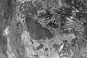 Exposed Crater Floor Materials in Western Arabia Terra