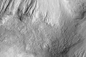 Gully Monitoring