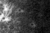 Dune Sublimation Spots