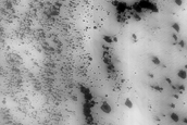 Cryptic Terrain Margin Monitoring in Reynolds Crater