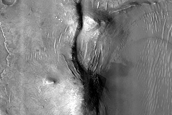 Pyroxene-Rich Materials in Western Nili Fossae