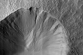 Gullies in Small Crater