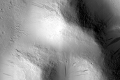 Terrain Sample