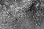 Terrain Sample