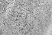 Terrain Sample