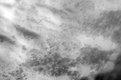USGS Dune Database Entry Number 1251-738