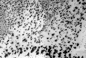Cryptic Terrain Margin Monitoring in Main Crater