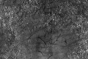 Terrain Sample