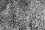 Terrain Sample