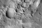 Terrain Sample