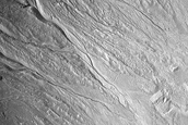 Gully Monitoring