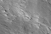 Terrain South of Olympus Mons