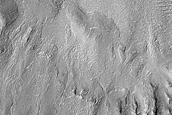 Gully Monitoring