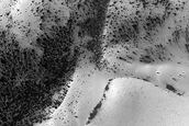 USGS Dune Database Entry Number 3304-693