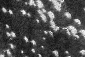 Bright and Dark Fans