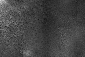 Terrain Sample