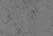 Utopia Planitia