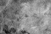 Terrain Sample