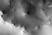 Hydrous Minerals on Henry Crater Rim