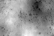 USGS Dune Database Entry Number 2598-710