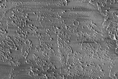 Daedalia Planum Albedo Variations