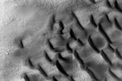 USGS Dune Database Entry Number 0894-476