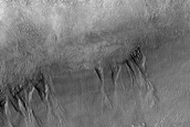 Gullied Crater Wall