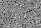 Monitoring of South Polar Residual Cap Site