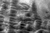 USGS Dune Database Entry Number 1314-618