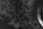 USGS Dune Database Entry Number 2467-696