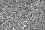Terrain Sample