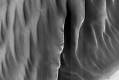 USGS Dune Database Entry Number 3586-604
