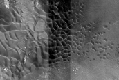Dune Monitoring in Crater