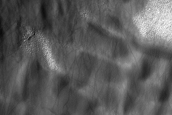 USGS Dune Database Entry Number 3034-595