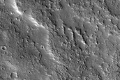 Terrain Sample