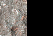 Diverse Bedrock on Terra Sabaea Crater Floor