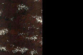South Polar Region