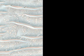 Central Structure of Impact Crater