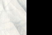 High Southern Latitude Gullies