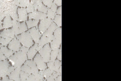 Terrain Sample