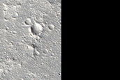 Extended Ejecta and Secondaries of Naryn Crater