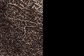 Terrain Sample