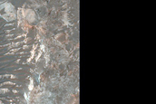 Terrain Sample