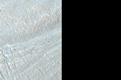 Gully Monitoring