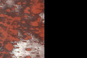 Cryptic Terrain Margin Monitoring in Reynolds Crater