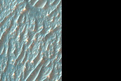 Bright Materials in Nectaris Fossae