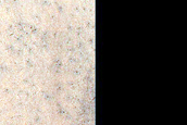 Cryptic Terrain Margin Monitoring near Reynolds Crater