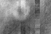 Terrain Sample